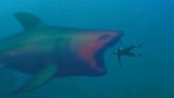 血鲨：方力申肉搏变异鲨，被感染变丧尸，疯狂复仇人类，太可怕！
