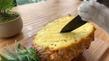 【料理猫王】猫王自导自演制作菠萝饭，真实能干的猫咪