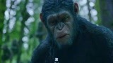 猩球崛起2：猩猩竟然会说人话，猿王一声怒吼，吓得人类赶紧逃