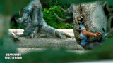 侏罗纪世界：帝王暴龙一口吞了胖子，可真是相当凶残啊！