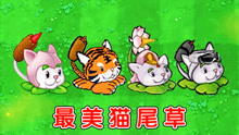 [图]植物大战僵尸：不同版本中的猫尾草，有什么区别？