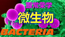 Bacteria 18 Deadly tricks 夺命花招 跟常荣学微生物学 4K