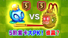 [图]PVZ2：5阶紫卡大比拼！蓝莓PK猕猴桃，谁会赢？