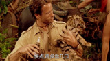 虎兄虎弟：男主安抚惊恐的小老虎，老虎却咬着他手不肯放，泪目了