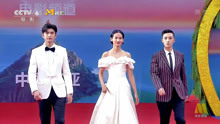张云龙屈菁菁谷嘉诚步入海南岛国际电影节红毯 在背景板签名