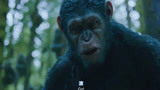 猩球崛起2：大猩猩竟会说人话，猿王一声滚，吓得人类腿都软了