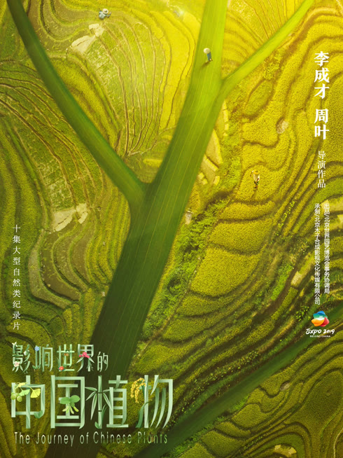 Watch the latest The Journey of Chinese Plants online with English subtitle for free English Subtitle