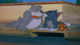 猫和老鼠：汤姆生气回头，没想到竟亲到大狗布瑞！