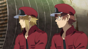 Watch the latest Newcomer Red Blood Cell joins and rushes to shake hands with senior Red Blood Cell (2021) online with English subtitle for free English Subtitle