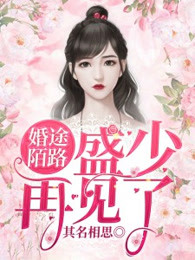婚途陌路：盛少，再见了