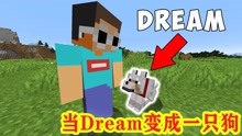 [图]我的世界：当dream变成一只狗，还能通关MC吗？乔治dream趣味生存