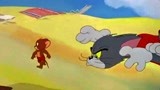 猫和老鼠：杰瑞略施小计，让螃蟹钻进汤姆裤子