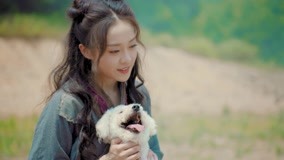 Mira lo último Cat and Dog Episodio 5 (2021) sub español doblaje en chino