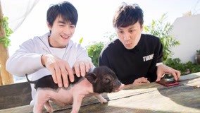 線上看 第3期 林更新給豬洗澡笑翻 (2018) 帶字幕 中文配音，國語版