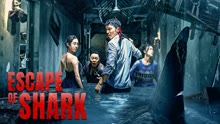 Watch the latest Escape of Shark (2021) online with English subtitle for free English Subtitle