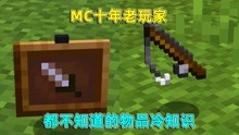 [图]我的世界：mc十年老玩家，都不一定知道的物品冷知识！你知道吗？