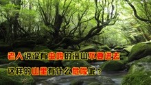 [图]为何农村老人常说，没有虫鸣的深山老林，不要独自一人前往呢？