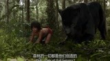 奇幻森林：大象是森林的守护神，黑豹都要低头致敬，熊孩子看呆了