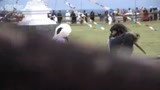 胡歌化身藏版罗密欧