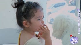  Two-Year-Old Baby Takes Dog to Pet Hospital Alone (2022) sub español doblaje en chino