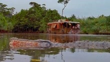 狂蟒之灾：本以为河里只有只鳄鱼，谁想还有一条大蟒蛇，太可怕了