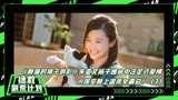 【拯救剧荒计划】《赖猫》3：霸总杨子姗变身小女人为朱亚文下厨