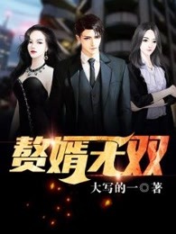 赘婿无双