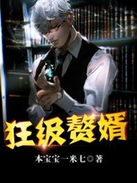 狂级赘婿