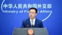 赵立坚：台湾是中国的一个省，哪有什么“副总统”？