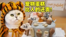 [图]猫咪6岁生日宴过得比人还好是什么体验?网友:你家还缺猫吗?