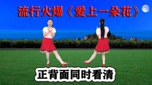 [图]DJ火爆网红步子舞《爱上一朵花》正背面同窗，听歌学跳都舒爽