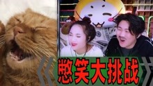 [图]憋笑大挑战：猫咪弄丢了它的老鼠，哭得好伤心！