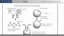 [图]15 The RND Renaissance RNA的复兴 12岁常荣学分子生物学科普