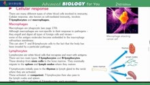 P286 Cellular response细胞反应 常荣大学生物BIOLOGY OXFORD