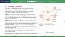 P285 Immune response免疫反应 常荣牛津大学生物BIOLOGY OXFORD