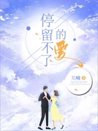 停留不了的爱