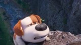 爱宠大机密2：小狗狗悬崖救绵羊，要掉下去了！