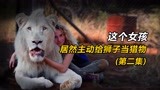 这个女孩居然主动给狮子当猎物，母亲吓得亚麻呆住了《白狮奇缘》