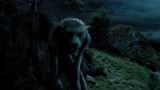 哈利波特3：教授在月圆之日，化身成了狼人，快跑啊