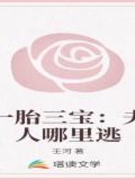 一胎三宝：夫人哪里逃