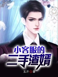 小客服的二手渣婿