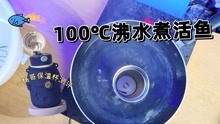 [图]用100℃开水煮活鱼，鱼竟然完好如初，这到底是什么个情况？