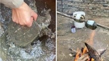 因降温乌龟在室外被冻死，在用火烤热水淋后，乌龟竟神奇“复活”