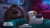 爱宠大机密：杜克和麦克斯搭话，麦克斯却不理他