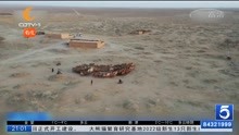  内蒙古:巴丹吉林沙漠三千余峰骆驼完成冬季转场