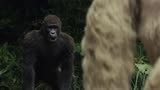 《狂暴巨兽》：男子怕死，叫他不要动还乱动，下秒猩猩直接扑上来