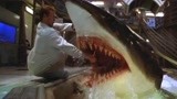 深海狂鲨：博士培养出高智商鲨鱼，想取它的脑溶液，却被残忍反杀