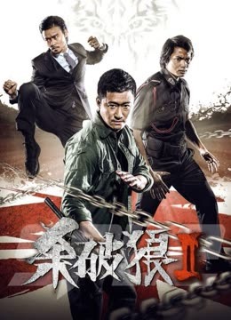 杀破狼2