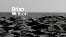 Brian Wilson - No Pier Pressure 