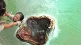 西游降魔：鱼怪张开血盆大口，一跃而起，吃掉小女孩！